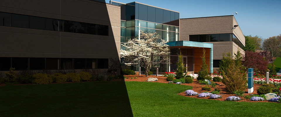 Westlake Village Landscapers