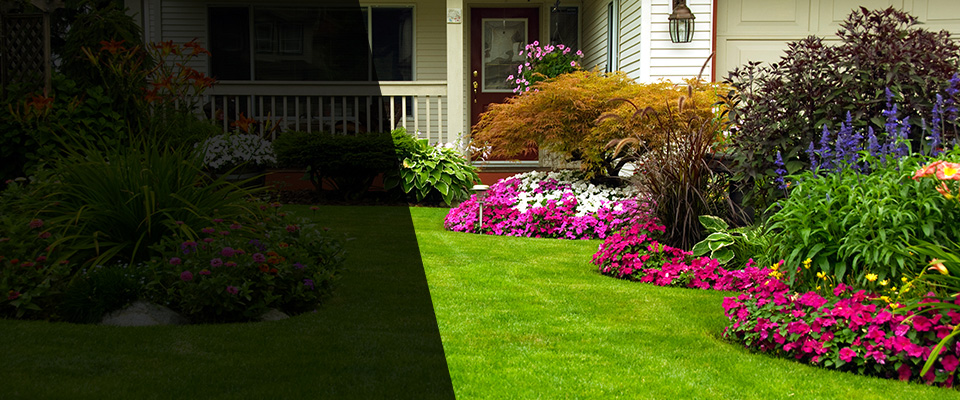 Westlake Village Landscapers
