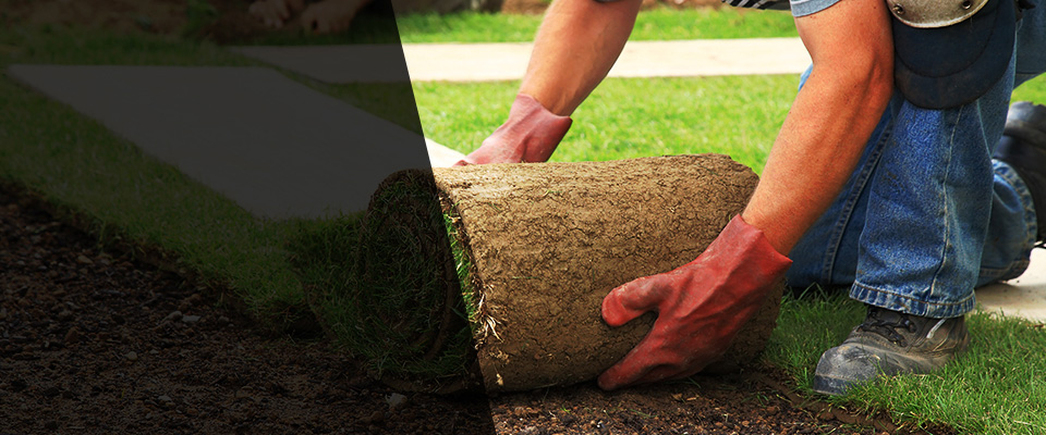 Westlake Village Landscapers